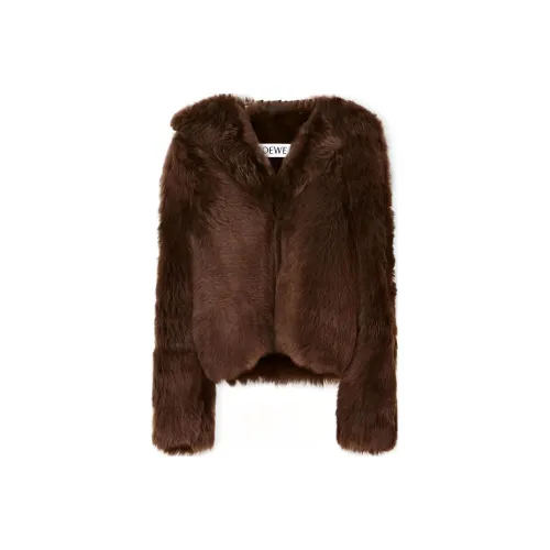 LOEWE Jackets Women's Black Brown