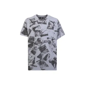 Mauna key T Shirts Men Gray