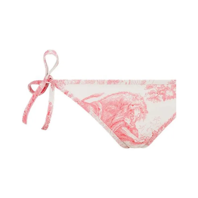DIOR Swimming Shorts Women's Pink-2