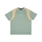 Light Gray Green