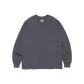 Asphalt Gray