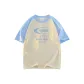 Apricot & Light Blue