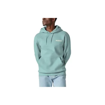 Dickies Hays Graphic Hoodie Sweatshirt Men's Light Green