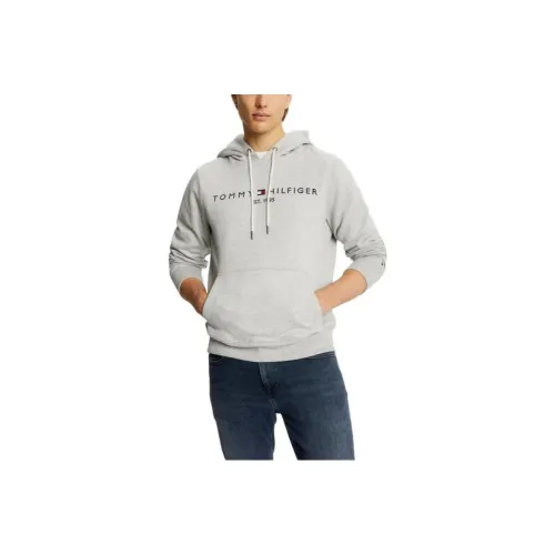 Tommy Hilfiger FW23 Hoodie Hoodies & Sweatshirts Bc16 Grey Heather Sweatshirt Men's Gray