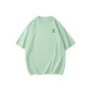 Light Green Dark Angel