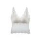 Champagne White