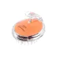 SH1 Orange