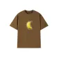 Chestnut Shell Brown Color