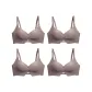 4 Pack (Coffee)