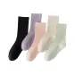 Black, Taro Purple, Tangerine, Oats, Light Green