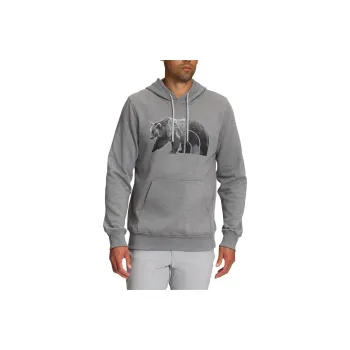 THE NORTH FACE TNF™ Bear Pullover Hoodie Sweatshirt Men's Gray