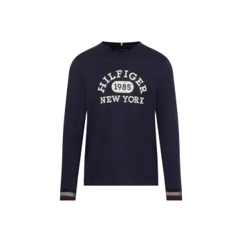 Tommy Hilfiger T Shirt Men's Blue