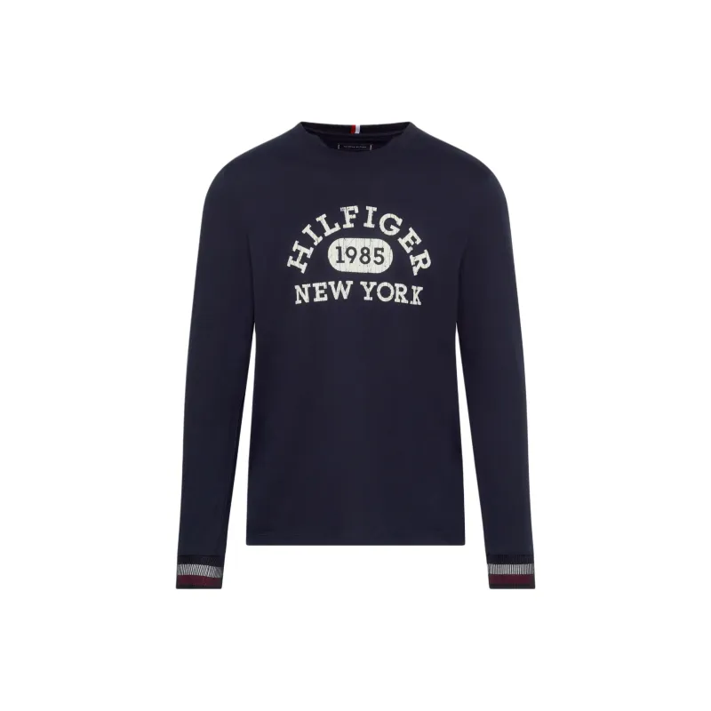 Tommy Hilfiger T Shirt Men's Blue-0
