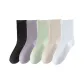 Oats, Light Green, White, Black, Taro Purple