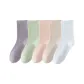 Taro Purple, Tangerine, Oats, Light Green, White