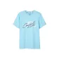Misty Blue Color
