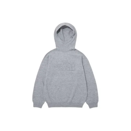 THE NORTH FACE Merino Airwool Hoodie Sweatshirt Men's Gray
