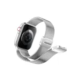 Integrated Magnetic Silver