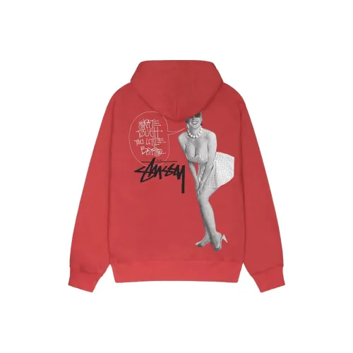 Stussy Smooth Stock Pigment Dyed Hoodie