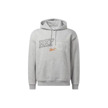 Reebok HOODIE Sweatshirt Unisex Gray
