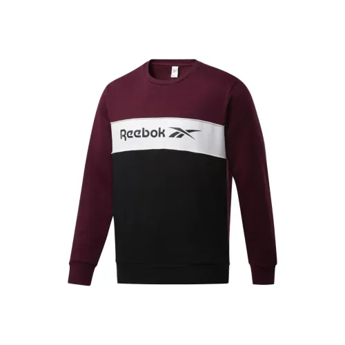Reebok Sweatshirts Men Multicolor