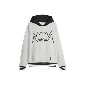 PUMA Hoodie De Basketball Franchise Core Homme Sweatshirt Men's Gray