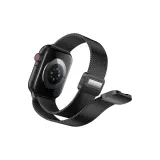 Integrated Magnetic Black