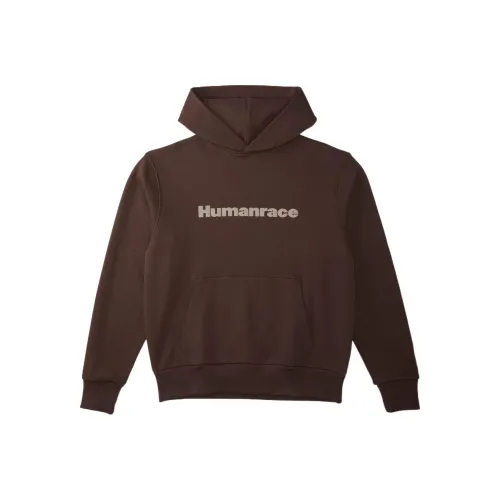Adidas Originals X Pharrell Williams Humanrace Basic Hoodie