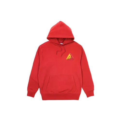 PALACE Big P Hood
