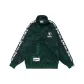 Green GDZ