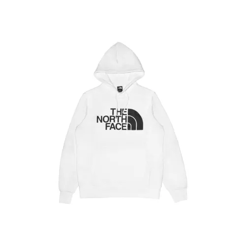 THE NORTH FACE Drew Peak Pullover Hoodie