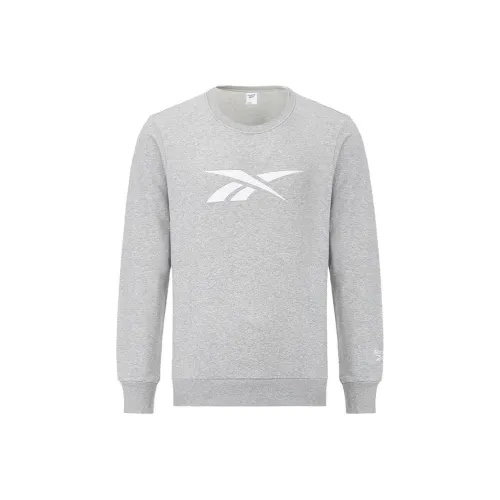 Reebok Sweatshirts Men Gray