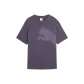 Charcoal Gray Purple
