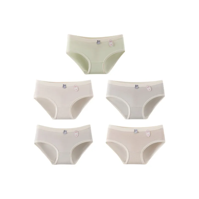 Cotton Shopping Underpants Women's 5 Pack-0