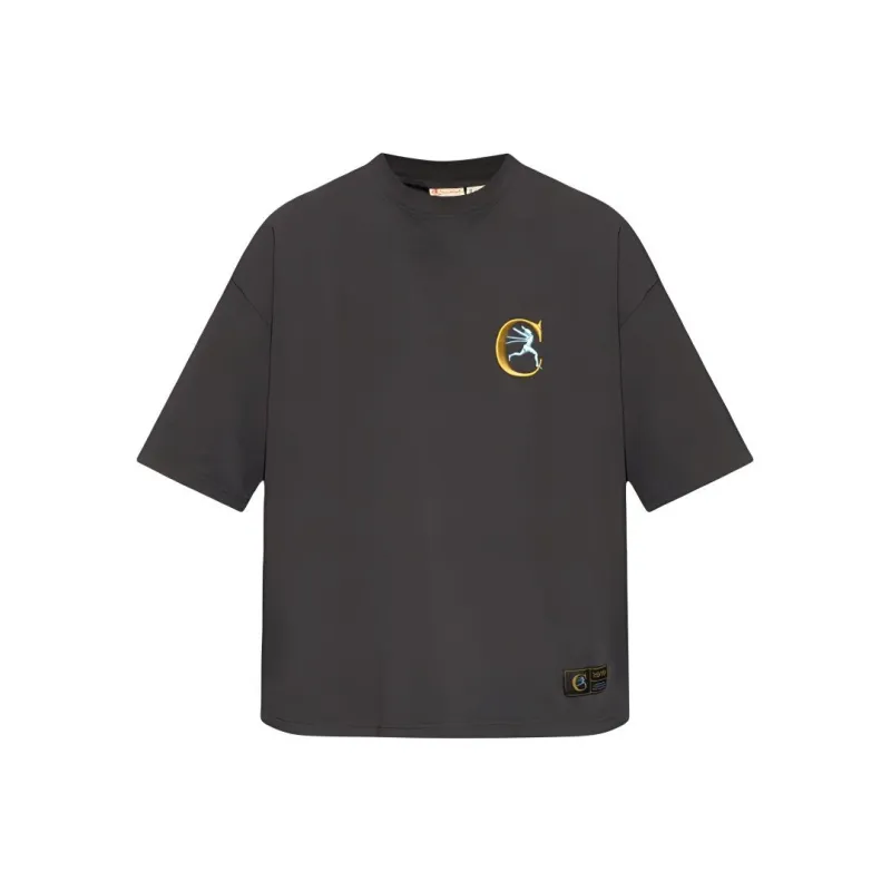 Champion T-Shirts Men Gray-0