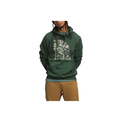 THE NORTH FACE Jumbo Half Dome Sweatshirt Men's Green