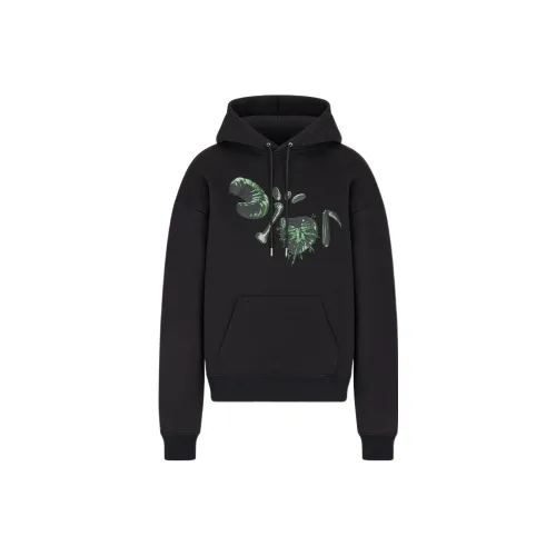 DIOR X Cactus Jack Oversized Hooded Sweatshirt