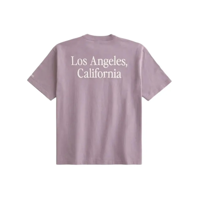Hollister T Shirts Men Purple-0