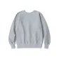 Silver Gray