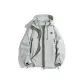 Silver Gray