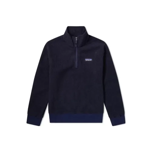 Patagonia Sweatshirt Men's Blue