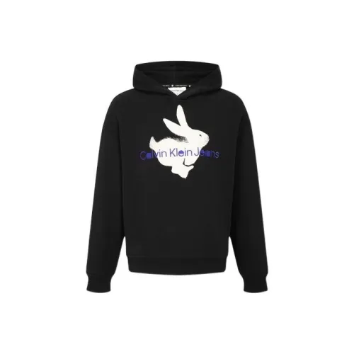 Calvin Klein Sweatshirts Unisex