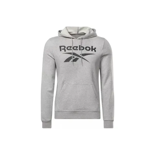 Reebok RI FT BIG LOGO OTH HOOD Sweatshirt Men's Gray