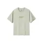 Elegant Gray Green