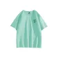 Aqua Green