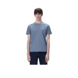 Gray Blue