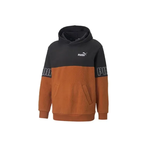 PUMA Power Sweatshirts Men Brown