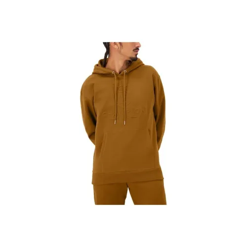 Champion Classic Fleece Hoodie Sweatshirt Men's Brownie Brown