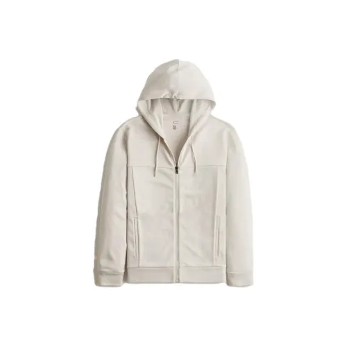 Hollister Sweatshirts Unisex
