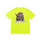 Neon Yellow/Fluorescent Yellow